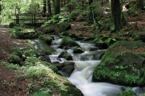 Schillerweg 3 Horn-Bad Meinberg